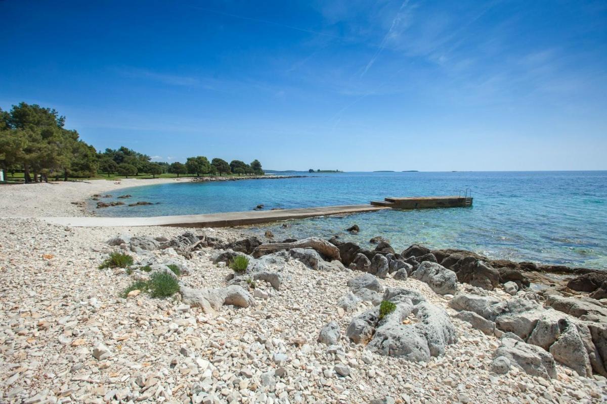 Apartment Dolly Completely Renovated 2023 Rovinj Bagian luar foto